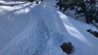 The Snowy Troodos Mountains - The Island of Cyprus Live Video