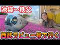 【900円で乗れる豪華特急】2,540円のお得切符で行く絶景と温泉、秩父の旅!