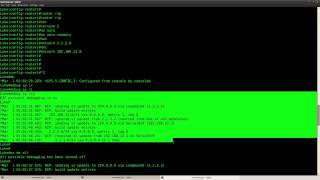 Details ICND2 Assessment lab in GNS3 Guide