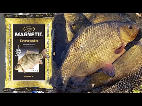 Skuteczne zanęty - Lorpio Magnetic Carassio Vanille
