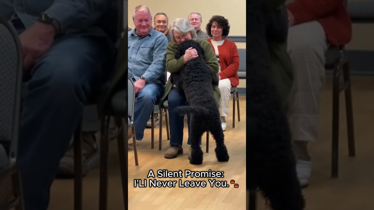 EMOTIONAL : When Dogs Choose Their Humans -Adoption Moments.