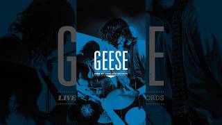 GEESE / LIVE AT THIRD MAN RECORDS / LP | Record CD Online Shop JET