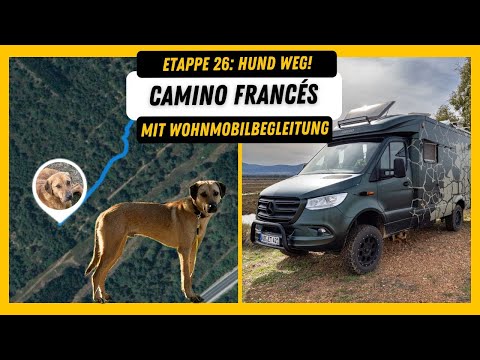 Etappe 26 - Hund weg! 😱 I Camino Francés mit Wohnmobilbegleitung I Ponferrada bis Villafranca d. B.