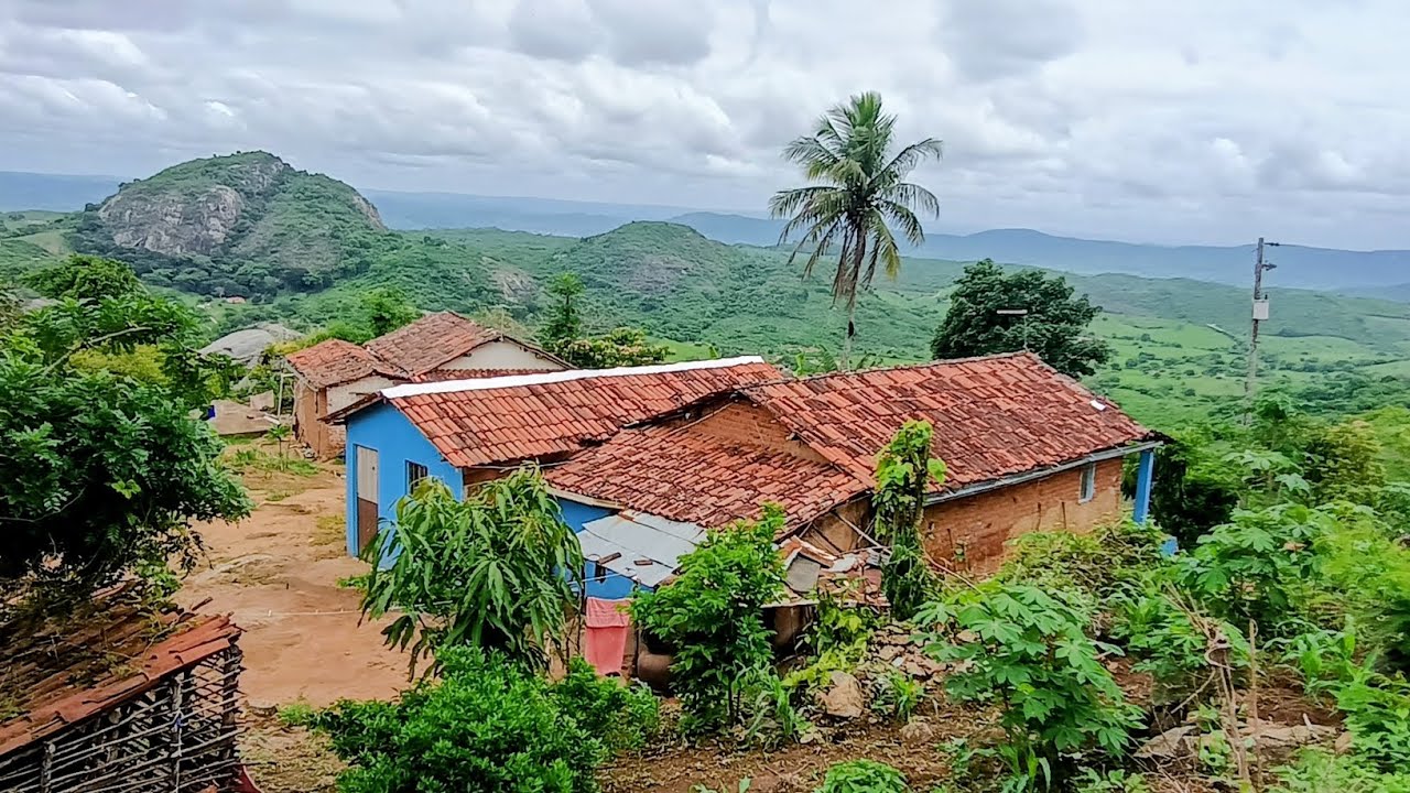 Após muita chuva o sítio ta coberto de maravilhas muita fartura frutas e várias plantações. 🙏👏