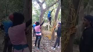 Celebrity Commando NET 🧗⚡@Seatoskyadventure Wealth