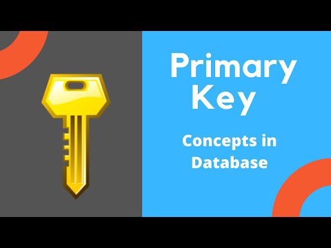 Primary Key Concepts in Database