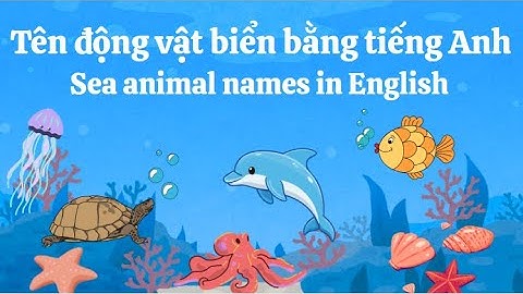 Học từ vừng tiếng anh qua tên động vật biển | Sea animal names in English | Kids Learn English