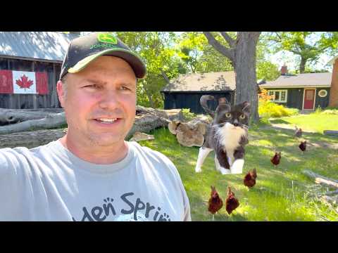 Creating Our Farm to Support Natural Wildlife