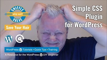 The Simple CSS Plugin for WordPress