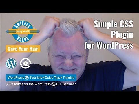 The Simple CSS Plugin for WordPress