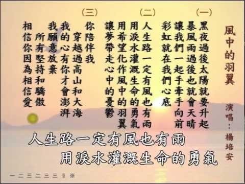 風中的羽翼