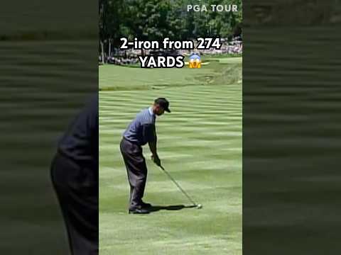 Just Tiger Woods things 🐅 #funny #shorts #reels #golf #girl #asmr