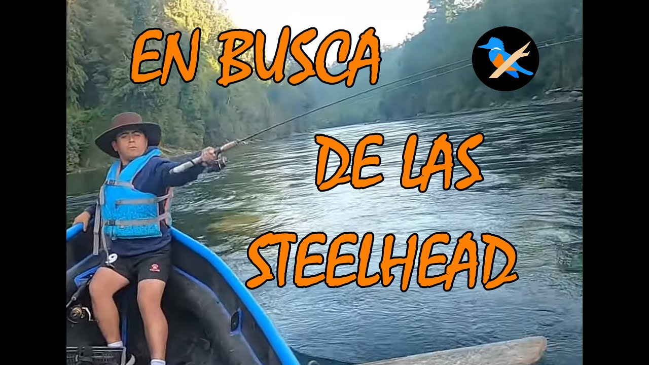 EN BUSCA DE LAS STEELHEAD #pesca
