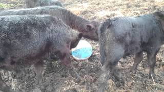 VID 20140426 130636