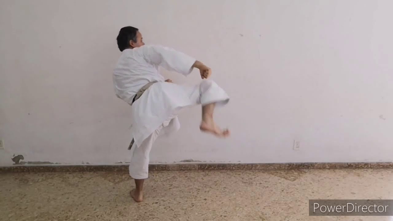 Mawashi Geri Rengeri YouTube