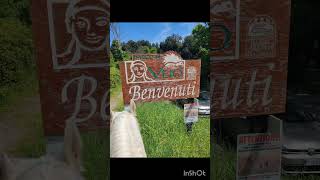 Via Francigena A Cavallo