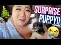 SURPRISING MY BFF WITH A PUPPY!! Vlogmas Day 18