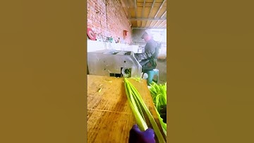 The process of slicing vegetables   good machinery can improve the efficiency of doing things