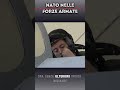 ☢️ 36º STORMO CACCIA