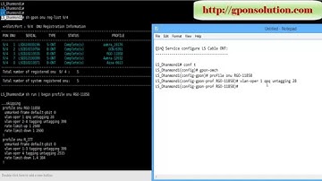 5.  QinQ Service configure for LS Cable ONT