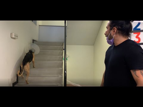 Joce Acuña y el Pececito por Los40 (13 de enero)