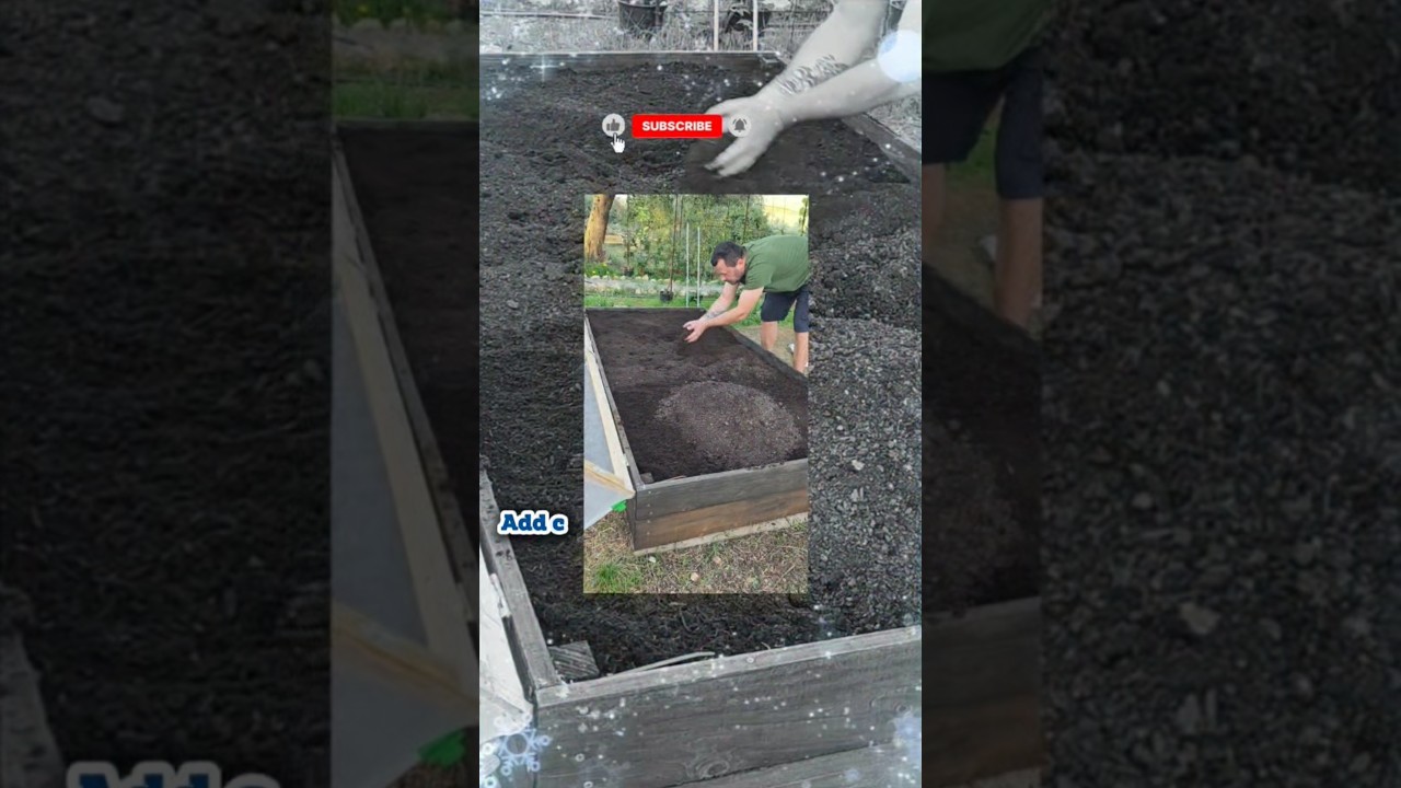 Your Crops Aren’t Growing? This Soil Mistake Is the Reason!