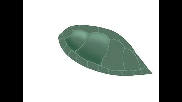 Sea turtle in Procreate