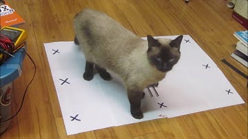 Arduino Engineering Kit Prt 5 - The Mobile Rover