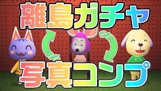【あつ森生放送】マイル旅行券100枚使い切るまで終わらない離島ガチャ