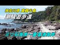 神奈川県 真鶴半島・潮騒遊歩道(三ツ石海岸~番場浦海岸)