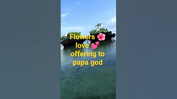 Papa God Thank You Always Flowers For You Thanks Again For Nice Nature 