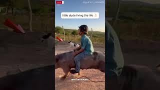 This Dude Enjoying A Ride On His Pig