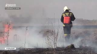 В брянском регионе фиксируют рост числа природных пожаров