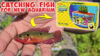 Catching PET FISH for SPONGEBOB AQUARIUM! Micro Fishing
