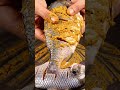 Crispy Fish Fry Recipe 😋🔥 | Masala Fish Fry | Street Style Fish Fry at Home #FishFry #CrispyFish