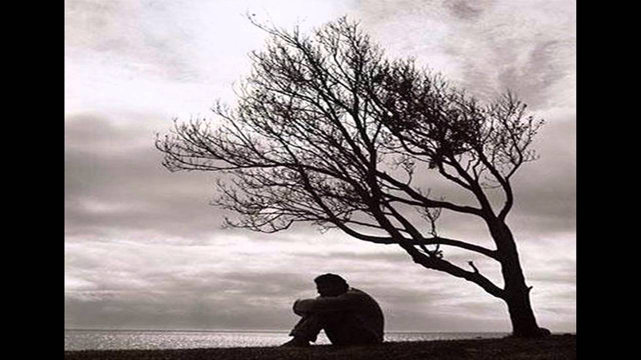 Zindagi Ki Talash Mein Hum ...