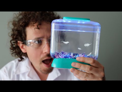 ¿Realmente funcionan los DRAGONES ACUÁTICOS? | Aqua Dragons 🐉👨🏻‍🔬