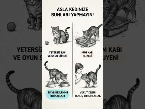 ASLA KEDİNİZE BUNLARI YAPMAYIN! 🙀 (Bölüm 1) | Profesör Kedi
