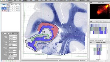 HistoloZee Tutorial 08 - Visualizing and editing slide segmentation labels