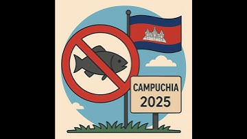 ▶ CAMPUCHIA THÔNG BÁO LỆNH CẤM ĐÁNH BẮT CÁ NĂM 2025 ✅ DỰ BÁO GIÁ CÁ NƯỚC NGỌT? 🎙 #PODCAST #TinThủ...
