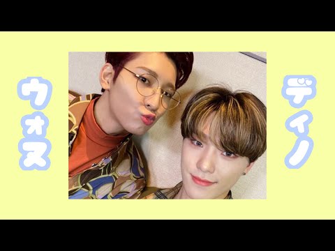 SEVENTEEN セブチ うちわ ジョンハン ウォヌ ホシ ディノ NEWS | SEVENTEEN Japan official site