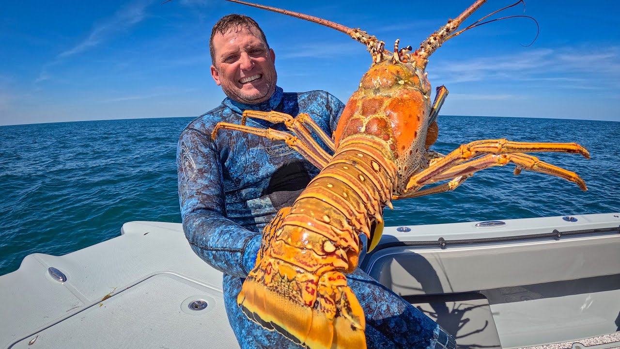 Outline Video The Biggest Lobster I've EVER SEEN! Whole Roasted Lobster