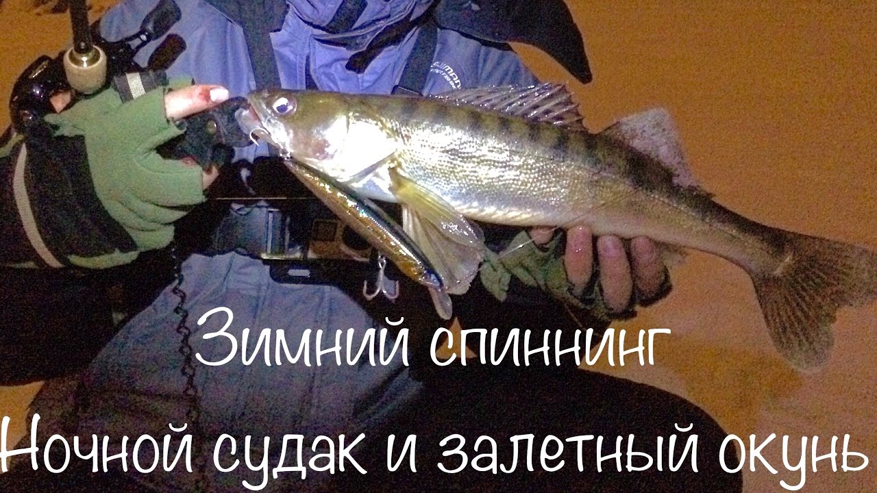 Краснодар судак на машине
