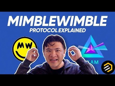 MimbleWimble Explained: Privacy is a MUST