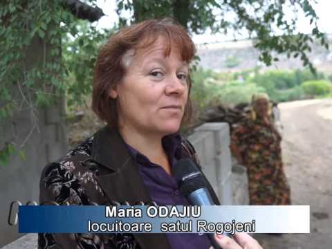 MOLDOVA+ Tizicul şi cioclejii, mai solicitaţi, decât cărbunele