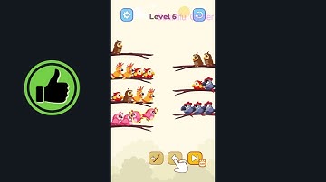 Bird Sort Color Brain Game (New Update) Gameplay Walkthrough Part 1 - All Levels Solutions Android