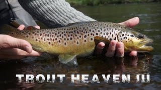 Trout Heaven III - The Final Chapter