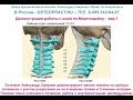 Остеопатия - обучение работы с шейными позвонками по Мартиндейлу