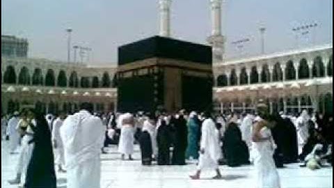 مقطع من صلاة القيام والقارئ ،رضا جميل