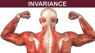 clp6529 group invariance